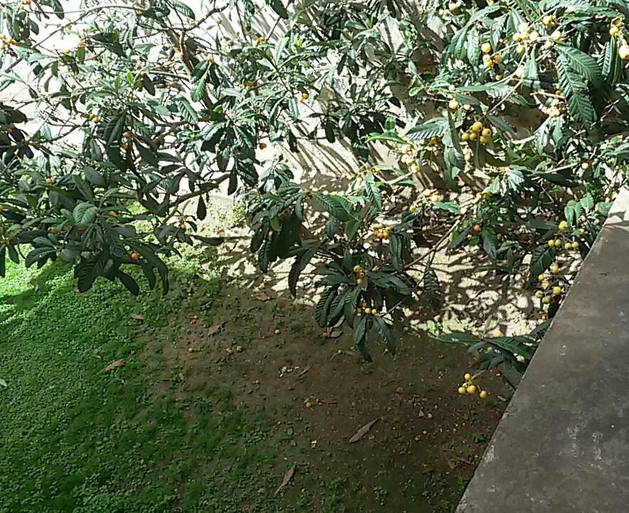 Appartamento Yasmina e Xochilt Piombino Italia
